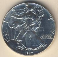 USA 1987. 1$ Ag 1oz. "Liberty" T:1