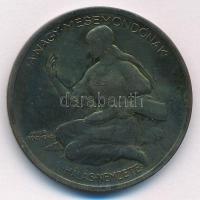 Berán Lajos (1882-1943) 1925. "Jókai Mór 1825 - 1925 / A nagy mesemondónak hálás nemzete" ...