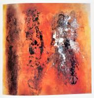 Vance Kirkland festőművész. Szerk.: Fitz Péter. Bp., 1997, BTM. Papírkötésben, jó állapotban. Gazdag...