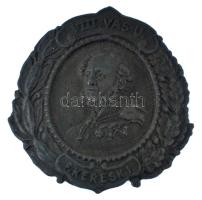 DN "(Széchenyi István) VIII. Vas u. - F. keresk. I." Sn iskolai lemezjelvény (45x44mm) T:XF letört tű