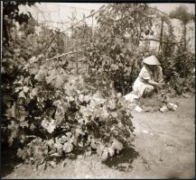 cca 1935 és 1960 között készült felvételek sokféle témáról, 201 db vintage NEGATÍV Fekete György (19...