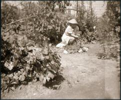 cca 1935 és 1960 között készült felvételek sokféle témáról, 201 db vintage NEGATÍV Fekete György (19...