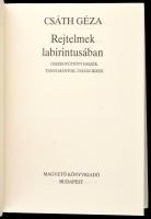 Csáth Géza: Rejtelmek labirintusában. Összegyűjtött esszék, tanulmányok, újságcikkek. Szerk. és sajt...