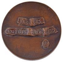 DN "Eurocartell Szövetség / Hűséges együttműködésért" öntött bronz emlékplakett. Szign.:OB...