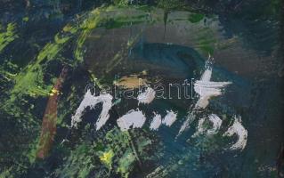 Márton Béla (1913-2007): Virágözön. Olaj, vászon, jelzett, dekoratív fakeretben, 70×50 cm