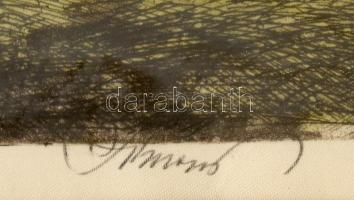 Olvashatatlan jelzéssel: Itatás. Kézzel színezett rézkarc, vászon. 27x38 cm. Üvegezett fakeretben