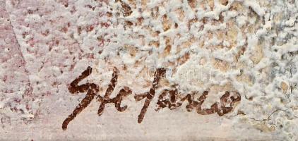 Stefano jelzéssel: Absztrakt kompozíció. Olaj, vászon. 50x40 cm