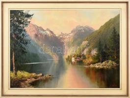 Olvashatatlan jelzéssel: Alpesi tengerszem. Olaj, vászon. 50x70 cm. Dekoratív fakeretben.