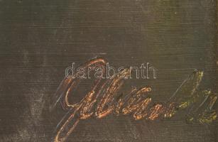 Olvashatatlan jelzéssel: Alpesi tengerszem. Olaj, vászon. 50x70 cm. Dekoratív fakeretben