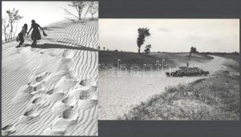 ,,Élet és halál" a Kiskunsági Nemzeti Parkban, eltérő időben készült felvételek, Vincze János (1922-1999) kecskeméti fotóművész hagyatékából, 4 db vintage fotóművészeti alkotás, ezüst zselatinos fotópapíron, három kép pecséttel jelzett, 23,5x16 cm és17,2x12,4 cm között