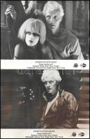 cca 1982 ,,Szárnyas fejvadász" című amerikai sci-fi jelenetei és szereplői, 8 db vintage produkciós filmfotó ezüst zselatinos fotópapíron, a használatból eredő (esetleges) kisebb hibákkal, egy képen elszíneződés, 18x24 cm