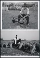 cca 1960 Medgyesi László (?-?) kecskeméti fotóművész hagyatékából 2 db modern nagyítás (Pásztorélet a bugaci pusztán), jelzés nélkül, 15x21 cm