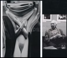1933 André Kertész (1894-1985) magyar - francia - amerikai fotóművész Torzítások című fotósorozatából 1 db modern nagyítás, a néhai FŐFOTÓ Váci utcai Fotógalériájának archívumából, + hozzáadva a művészről készült felvételt, kiállításának megnyitóján (1984), jelzés nélkül, 21x15 cm és 12,5x8,9 cm