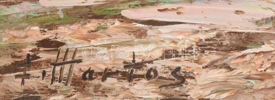 Olvashatatlan (Martos?) jelzéssel: Ház a vízparton. Olaj, vászon, 46x54 cm. Dekoratív fakeretben