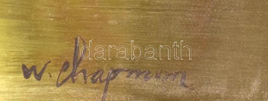 W Chapman jelzéssel: Hegyvidék. Olaj, vászon, 40x50cm. Dekoratív fakeretben