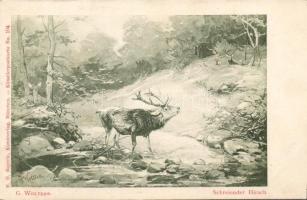 Deer s:G.Wolters