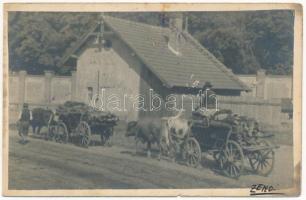 1931 Kolozsvár, Cluj; Ökrös szekér, erdélyi folklór / Ox cart, Transylvanian folklore. photo (b)