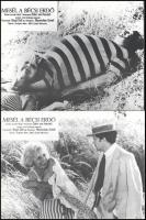 cca 1979 ,,Mesél a bécsi erdő" című osztrák - NSZK filmdráma jelenetei és szereplői, 10 db produkciós filmfotó nyomdatechnikával sokszorosítva kartonpapírra, egyoldalas nyomással, a használatból eredő (esetleges) kisebb hibákkal, 18x24 cm