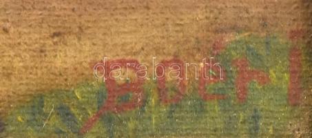 Boér István (?-?), XX. sz. első fele: Vízimalom. Olaj, vászon, jelzett, sérült. Dekoratív fakeretben...