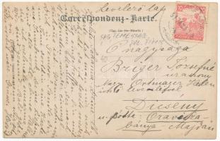 1917 Temesság, Saágh, Sag; nyaraló / villa. photo