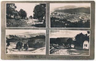Wolfsberg, Szörényordas, Volfsberg, Garana; mozaiklap / multi-view postcard. photo