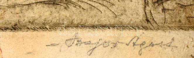 Bajor (Bayer) Ágost (1892-1958): Portré. Rézkarc, papír. Kissé foltos. Jelzett. Üvegezett fakeretben...