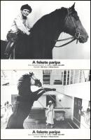 cca 1979 ,,A fekete paripa" című amerikai film jelenetei és szereplői, 6 db produkciós filmfotó nyomdatechnikával sokszorosítva kartonpapírra, egyoldalas nyomással, a használatból eredő (esetleges) kisebb hibákkal, 18x24 cm