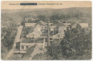 1924 Algyógy, Geoagiu; Sanatoriul / szanatórium / spa, sanatorium (ázott sarkak / wet corners)