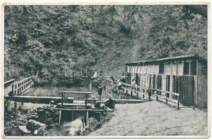 1929 Feketehalom, Zeiden, Codlea; Baie Carmen Silva basin / Waldbad-Bassin / Erdei fürdő / forest bath, spa (EB)