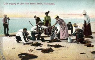 Washington, clam digging