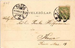 1902 Pozsony, Pressburg, Bratislava; Duna-part, vár. "Bediene dich allein" kiadása / Danub...