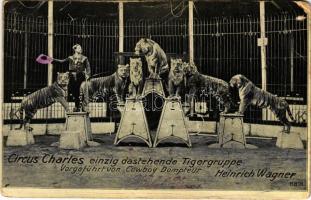 Circus Charles einzig dastehende Tigergruppe. Vorgeführt von Cowboy Dompteur Heinrich Wagner / Circus with trained tigers (lyukasztott / punched hole)