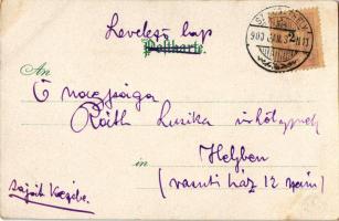 1900 Art Nouveau lady. litho