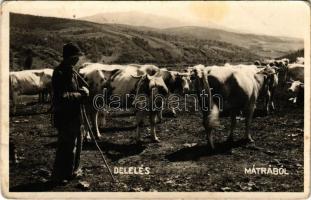 1949 Mátra, Delelés, magyar folklór. Sztanek Ede (Pásztó) photo (tűnyomok / pin marks)