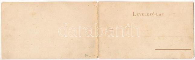 Budapest, látkép a budai oldalról. 2-részes kihajtható szecessziós litho panorámalap / 2-tiled foldi...