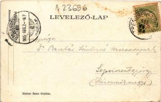 1905 Trencsénteplic, Trencianske Teplice; villa. Steiner Samu kiadása / spa, villa (szakadás / tear)