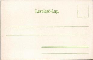 Trencsénteplic, Trencianske Teplice; Gyógyterem, fürdő, térkép. Wertheim Zsigmond kiadása / spa, bat...