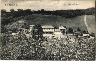 1907 Pozsony, Pressburg, Bratislava; III. Bimbóház étterem, nyaraló / III. Batzenhäusel / restaurant, villa