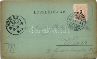 1899 (Vorläufer) Pozsony, Pressburg, Bratislava; látkép, vár, gőzhajó / general view, castle, steams...