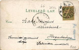 1903 Pozsony, Pressburg, Bratislava; Aupark / Ligeti díszkert / park (EB)