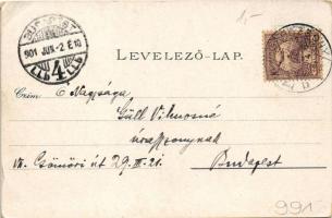 1901 Pozsony, Pressburg, Bratislava; Aupark / Ligeti díszkert / park (EB)