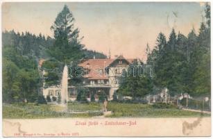 Lőcsefüred, Lőcse-fürdő, Levocské Kúpele (Lőcse, Levoca); Fürdőház / spa, bathhouse (ázott / wet damage)