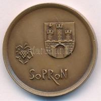 Somorjai László (1949-) 1977. "Sopron" bronz emlékérem Sopron szabad királyi várossá tételének 700. évfordulójára (32mm) T:UNC,AU