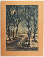 Haász jelzéssel: Holdfényes táj. Akvarell papír. Paszpartuban. 41,5x29 cm