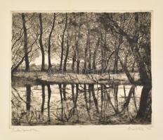 Scultéty Éva (1917-2001): Patakpart. Rézkarc, papír, jelzett, számozott (81/100), lap alja kissé foltos, 24×29 cm