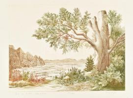 Hajagos Imre (1953-): Ősz a Bükk-fennsíkon. Színes rézkarc, papír, jelzett, számozott (11/100), lapszéli apró folttal, 28x38 cm