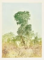 Dudás Jenő (1900-1991): Erdőszéle. Színes rézkarc, papír, jelzett, számozott (61/100), 33×24 cm