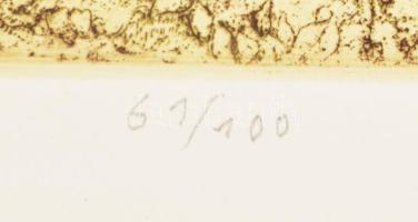 Dudás Jenő (1900-1991): Erdőszéle. Színes rézkarc, papír, jelzett, számozott (61/100), 33×24 cm