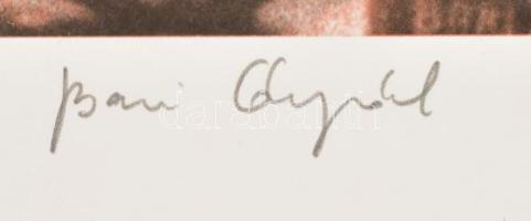 Bari Árpád (1953- ): Tavaszi metafora, színes nyomat, papír, jelzett, számozott (78/300), 44×38,5 cm