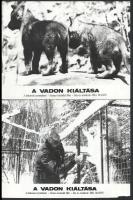 cca 1973 A vadon kiáltása, a farkasok nyomában című kanadai film jelenetei és szereplői, 5 db vintag...
